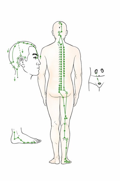 Dráha močového měchýře